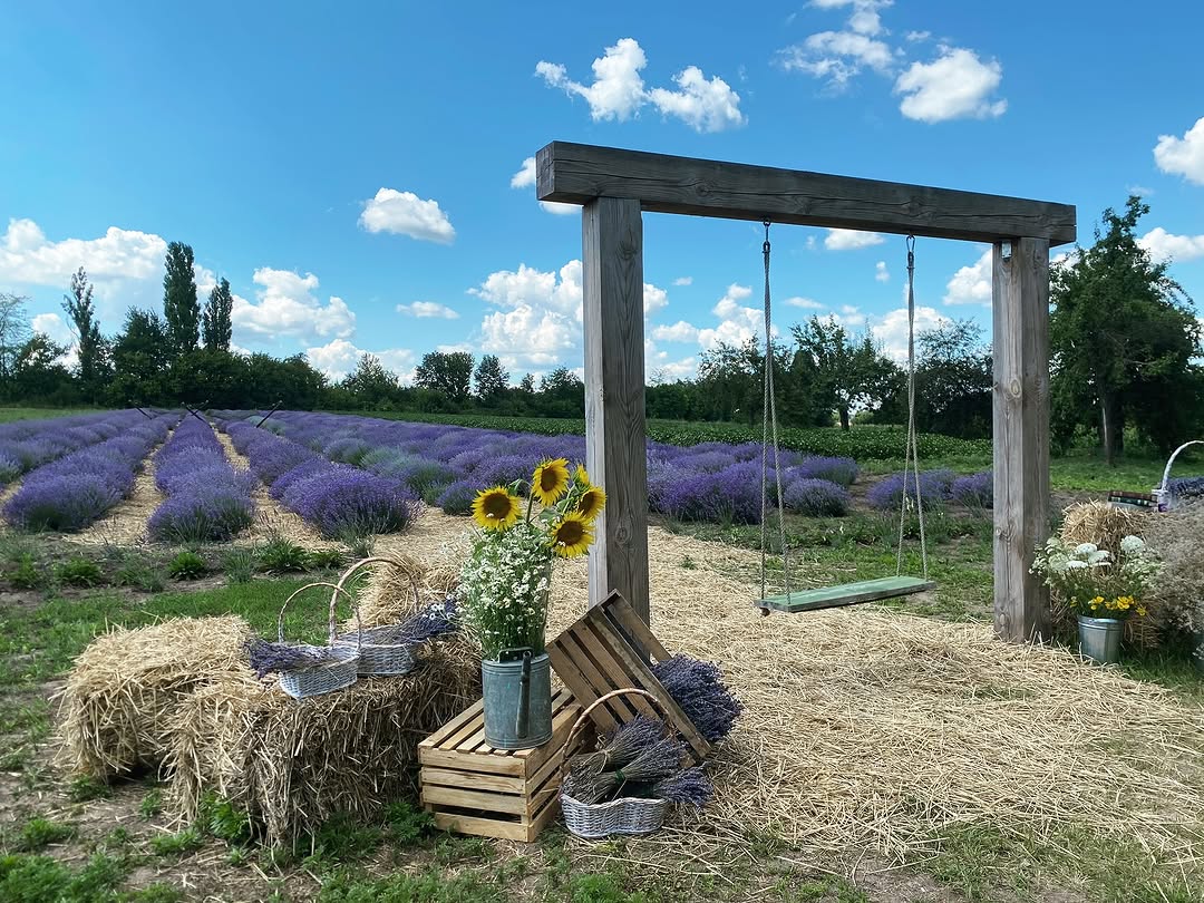 Джерело: https://www.instagram.com/p/C8umXCrNYvu/